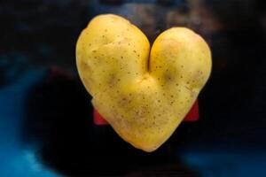 herzförmig golden Kartoffel auf ein schwarz Hintergrund mit Raum zum Text. modern Landwirtschaft und genetisch Maschinenbau. Ausdruck von Liebe mit Gemüse, Kartoffel Liebhaber. genetisch geändert Essen foto