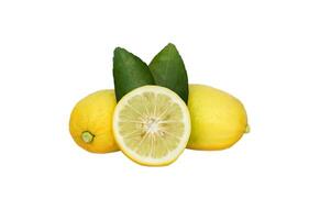 isoliert Zitrone Obst und Zitrone Scheiben auf Weiß Hintergrund. das Obst ist runden und Oval. das jung Obst ist grün. wann gekocht es werden Sein Gelb. das Obst Fleisch ist saftig und sauer schmecken. foto