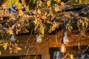 Lampen im Blätter beim ein klein Geschäft 2 foto