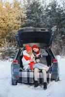 süß Paar haben Winter Wald Picknick Trinken Tee von Tee nehmen Weg Tasse. Natur Picknick. Liebe Geschichte Datum beim Wagen. foto