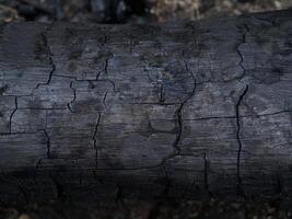 schließen oben Oberfläche von Holzkohle foto