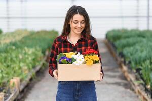 schön jung lächelnd Mädchen, Arbeiter mit Blumen im Gewächshaus. Konzept Arbeit im das Gewächshaus, Blumen, Tulpen, Box mit Blumen. Kopieren Raum. foto