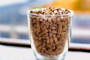 Pellet zum Herd oder Kessel im ein Glas, komprimiert Holz Körnchen foto