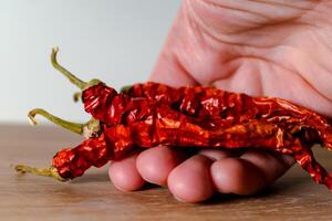 getrocknet rot Chili Pfeffer, viele Vorteile, stimuliert das Appetit und Blut Verkehr, erleichtert Muskel Schmerz, antibakteriell, Paprika annuum foto