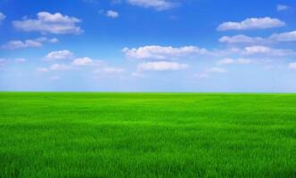 grüne Wiese mit blauem Himmel und weißer Wolke. Naturlandschaft Hintergrund foto