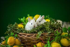 süß Weiß Kaninchen sind Sitzung im ein Korbweide Korb. das Dekor ist dekoriert mit Blumen und Zitronen. ein Platz zum das Text. foto