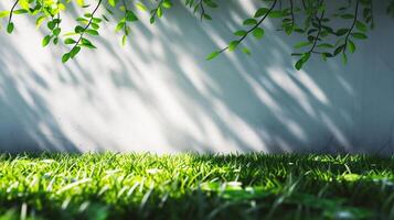 ai generiert hölzern Fußboden im das Garten mit Grün Gras und Sonnenlicht Hintergrund. foto