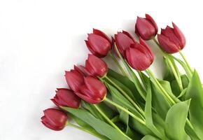 rot Tulpe Blumen Strauß Flatlay auf Weiß Hintergrund, früh Frühling romantisch Urlaub Geschenk oben Aussicht Konzept mit Kopieren Raum, Mutter Tag, st Valentinstag Tag Design, selektiv Fokus foto