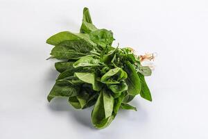 natürlich organisch roh Grün Spinat foto