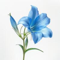 ai generiert Blau Blume auf Weiß Hintergrund. Blumen, Natur, Anlage, Blüte, Blütenblätter, blühen, Garten foto