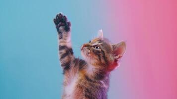 ai generiert süß Katze geben hoch fünf auf Pastell- Farbe Hintergrund. Niedlichkeit, zustimmen, Kätzchen foto