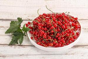 Süss reif rot Johannisbeere Beeren foto