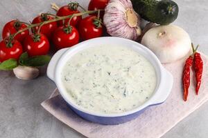 traditionell köstlich Vorspeise griechisch Tzatziki foto