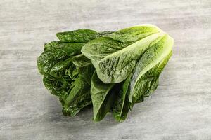 Grün frisch saftig Romano Salat foto