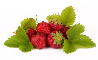 Erdbeeren auf Weiß foto