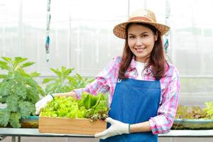 schön lächelnd asiatisch Frau tun organisch Landwirtschaft. wachsen organisch Grüner Salat im ein draussen Gewächshaus. Konzept von gesund Essen und frisch Gemüse. foto