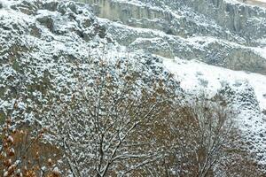 kalt Winter Landschaft foto