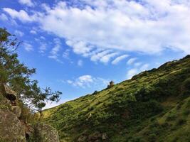 Grün Landschaft im das Natur foto