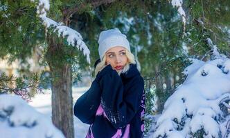 Porträt von ein Frau im ein Park, Porträt von ein Frau im Winter Park, Porträt von ein blond Frau, Frau im Hut foto