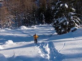 ein Person ist Skifahren foto