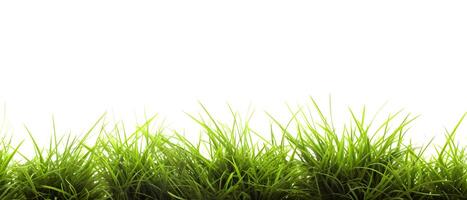 ai generiert frisch Frühling Grün Gras auf Weiß Hintergrund. erstellt mit generativ ai foto