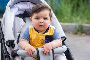 Baby Junge im Kinderwagen im das Garten foto