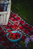 Erdbeeren im ein Schüssel und ein Glas von Rose Wein auf ein Picknick Decke foto