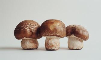 ai generiert drei braun Champignons auf ein Weiß Hintergrund, Nahansicht foto