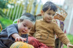 das wenig Kinder sind spielen im das Park mit Früchte, wenig Mädchen und Junge im das Herbst Park foto