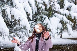 ziemlich jung Frau im Winter Park, rot behaart Mädchen im das Park im Winter foto