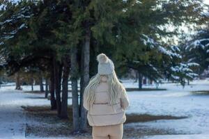 Porträt von ein Frau im ein Park, Porträt von ein Frau im Winter Park, Porträt von ein blond Frau foto