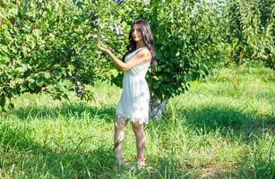 ziemlich jung Frau im das Natur, Sommer- Landschaft foto