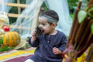 das wenig Kind spielen im das Park mit Früchte, wenig Mädchen im das Herbst Park foto