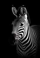 ai generiert ein einfarbig Foto von ein Zebra mit ein schwarz Hintergrund