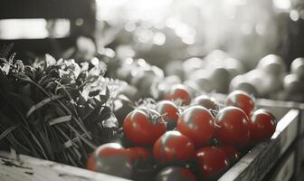 ai generiert Tomaten im ein hölzern Box auf das Markt. selektiv Fokus. foto