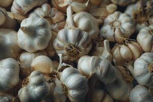 ai generiert Stapel von frisch organisch Knoblauch Glühbirnen. foto