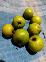 ein Gruppe von Grün Äpfel Sitzung auf ein Blau und Weiß kariert Tabelle Stoff foto