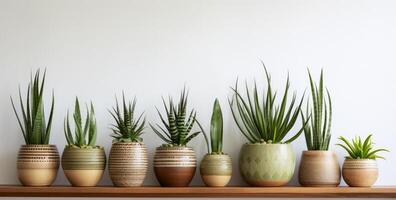 ai generiert Aloe Pflanzen im ein Topf auf ein hölzern Regal foto