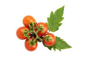 oben Aussicht Gruppe von reif Tomaten mit Blätter auf Weiß Hintergrund mit Ausschnitt Weg. frisch geerntet Rot, reif Tomaten. foto