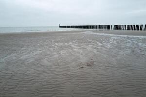 alt hölzern Wellenbrecher auf das Norden Meer im zeeland Niederlande foto