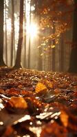 ai generiert golden Herbst Sonnenlicht Streaming durch Wald Bäume foto