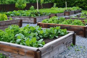 ai generiert angehoben Garten Betten gefüllt mit gedeihen Gemüse im Hinterhof foto