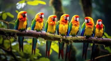 ai generiert tropisch Vögel Sitzung auf ein Baum Ast im das Regenwald foto