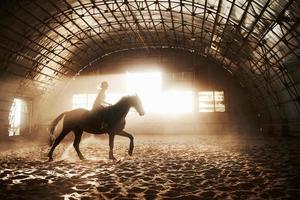 majestätisches bild der pferdepferdesilhouette mit reiter auf sonnenunterganghintergrund. der Mädchenjockey auf dem Rücken eines Hengstes reitet in einem Hangar auf einem Bauernhof und springt über die Querlatte. das konzept des reitens foto