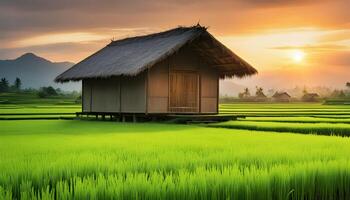 ai generiert ein Hütte sitzt im das Mitte von ein Reis Feld foto