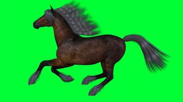 Pferd auf ein Grün Bildschirm foto