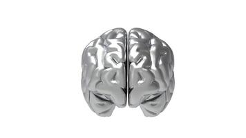 3d Gehirn Objekt auf Weiß Hintergrund foto