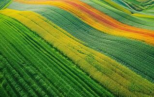 ai generiert Drohne Aussicht von bunt landwirtschaftlich Felder foto