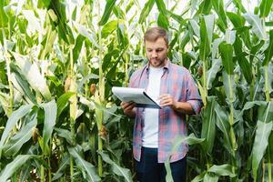 männlich Farmer Überprüfung Pflanzen auf seine Bauernhof. Landwirtschaft Konzept, landwirtschaftlich Ingenieur Stehen im ein Mais Feld mit ein Tablette, schreibt Information. Agronom inspiziert Getreide, Pflanzen. foto