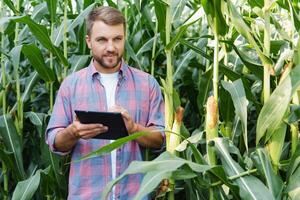 männlich Farmer Überprüfung Pflanzen auf seine Bauernhof. Landwirtschaft Konzept, landwirtschaftlich Ingenieur Stehen im ein Mais Feld mit ein Tablette, schreibt Information. Agronom inspiziert Getreide, Pflanzen. foto